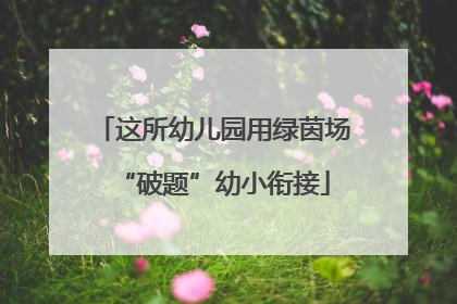 这所幼儿园用绿茵场“破题”幼小衔接