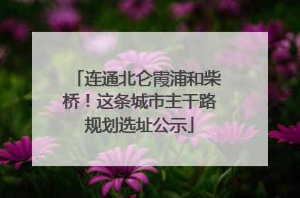 连通北仑霞浦和柴桥！这条城市主干路规划选址公示