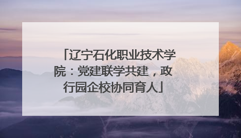 辽宁石化职业技术学院：党建联学共建，政行园企校协同育人