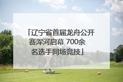 辽宁省首届龙舟公开赛浑河启幕 700余名选手同场竞技