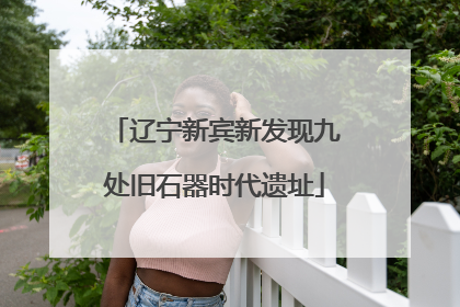 辽宁新宾新发现九处旧石器时代遗址