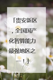 贵安新区，全国国产化智算能力最强地区之一！
