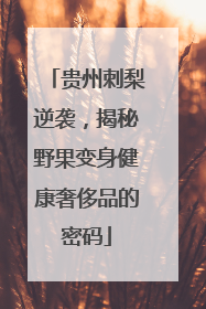 贵州刺梨逆袭，揭秘野果变身健康奢侈品的密码