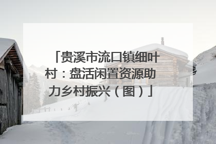 贵溪市流口镇细叶村：盘活闲置资源助力乡村振兴（图）