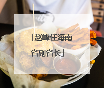 赵峰任海南省副省长