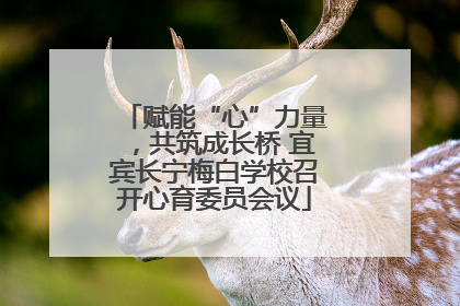 赋能“心”力量，共筑成长桥 宜宾长宁梅白学校召开心育委员会议