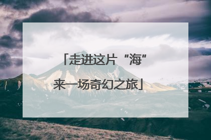走进这片“海”来一场奇幻之旅