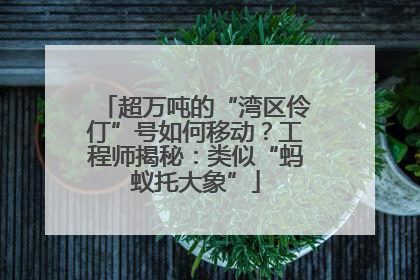 超万吨的“湾区伶仃”号如何移动？工程师揭秘：类似“蚂蚁托大象”