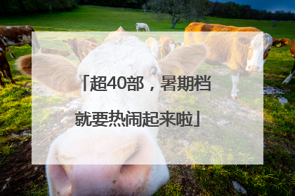 超40部，暑期档就要热闹起来啦