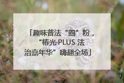 趣味普法“圈”粉，“椿光·PLUS 法治嘉年华”嗨翻全场