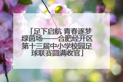 足下启航 青春逐梦绿茵场——合肥经开区第十三届中小学校园足球联赛圆满收官