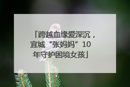 跨越血缘爱深沉，宜城“张妈妈”10年守护困境女孩