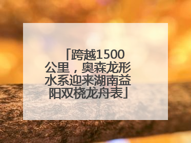 跨越1500公里，奥森龙形水系迎来湖南益阳双桡龙舟表
