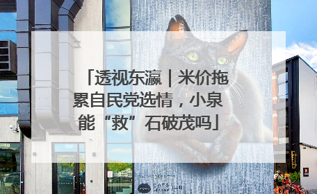 透视东瀛｜米价拖累自民党选情，小泉能“救”石破茂吗