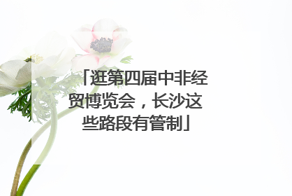 逛第四届中非经贸博览会，长沙这些路段有管制