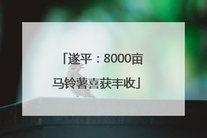 遂平：8000亩马铃薯喜获丰收