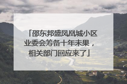 邵东邦盛凤凰城小区业委会筹备十年未果，相关部门回应来了