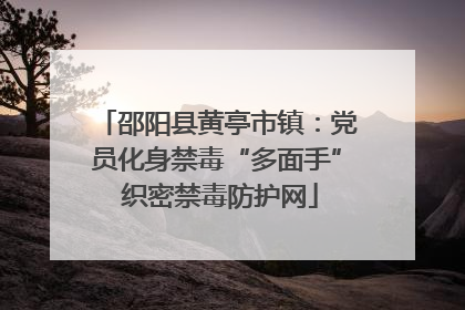 邵阳县黄亭市镇：党员化身禁毒“多面手” 织密禁毒防护网