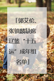 郭艾伦、张镇麟缺席辽篮“十五运”成年组名单