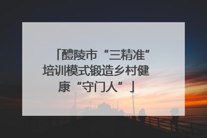 醴陵市“三精准”培训模式锻造乡村健康“守门人”