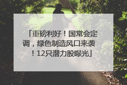 重磅利好!国常会定调,绿色制造风口来袭!12只潜力股曝光