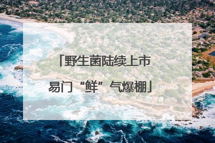 野生菌陆续上市 易门“鲜”气爆棚