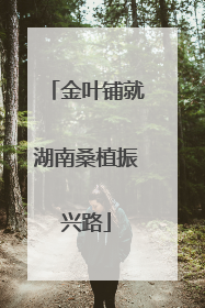 金叶铺就湖南桑植振兴路