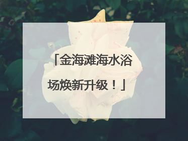 金海滩海水浴场焕新升级！