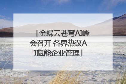 金蝶云苍穹AI峰会召开 各界热议AI赋能企业管理
