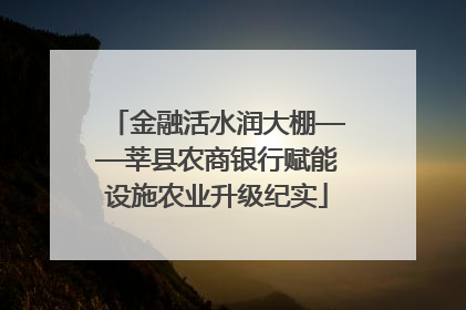 金融活水润大棚——莘县农商银行赋能设施农业升级纪实