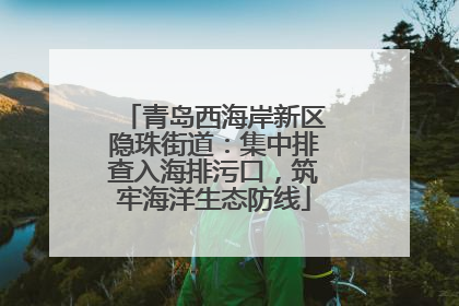 青岛西海岸新区隐珠街道：集中排查入海排污口，筑牢海洋生态防线