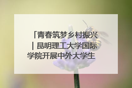 青春筑梦乡村振兴｜昆明理工大学国际学院开展中外大学生社会实践活动