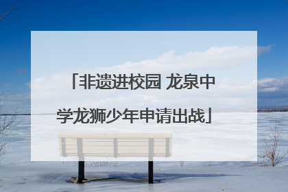 非遗进校园 龙泉中学龙狮少年申请出战