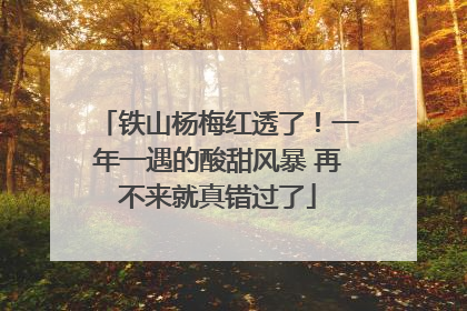 铁山杨梅红透了！一年一遇的酸甜风暴 再不来就真错过了
