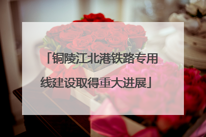 铜陵江北港铁路专用线建设取得重大进展