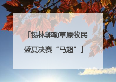 锡林郭勒草原牧民盛夏决赛“马超”