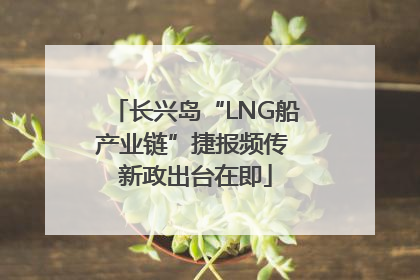 长兴岛“LNG船产业链”捷报频传 新政出台在即
