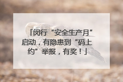 闵行“安全生产月”启动，有隐患到“码上约”举报，有奖！