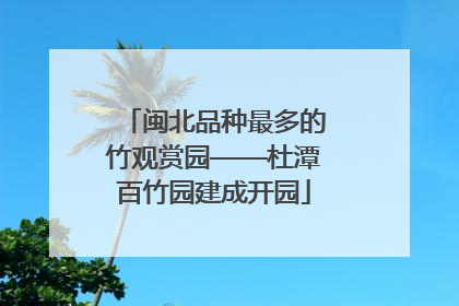 闽北品种最多的竹观赏园——杜潭百竹园建成开园