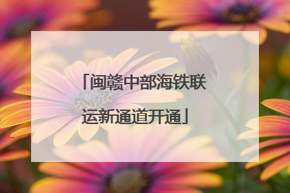 闽赣中部海铁联运新通道开通