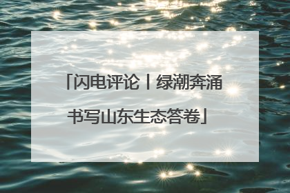 闪电评论丨绿潮奔涌 书写山东生态答卷
