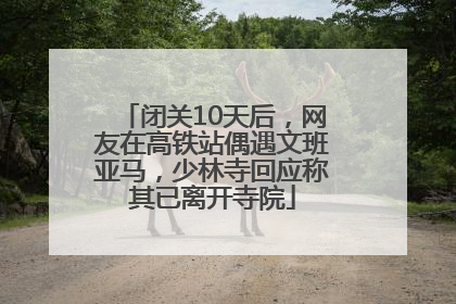 闭关10天后，网友在高铁站偶遇文班亚马，少林寺回应称其已离开寺院