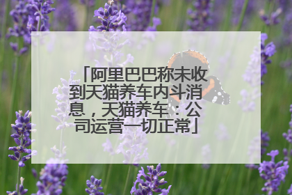 阿里巴巴称未收到天猫养车内斗消息，天猫养车：公司运营一切正常