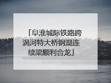 阜淮城际铁路跨涡河特大桥钢混连续梁顺利合龙