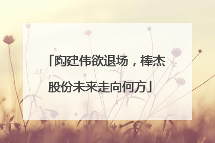 陶建伟欲退场，棒杰股份未来走向何方