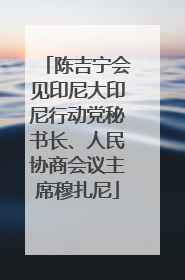 陈吉宁会见印尼大印尼行动党秘书长、人民协商会议主席穆扎尼