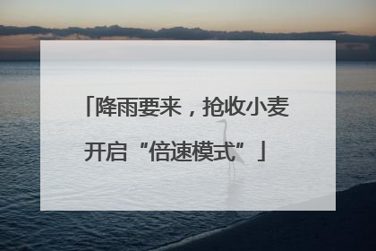 降雨要来，抢收小麦开启“倍速模式”