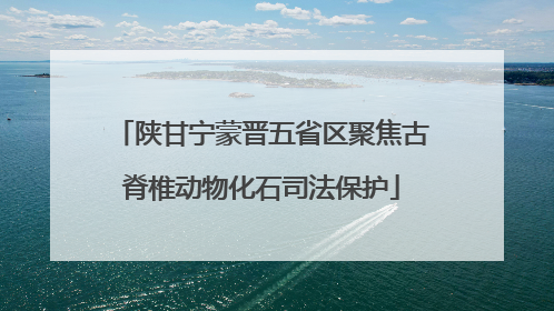 陕甘宁蒙晋五省区聚焦古脊椎动物化石司法保护