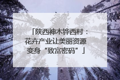 陕西神木铧西村：花卉产业让美丽资源变身“致富密码”