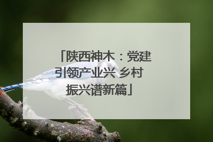 陕西神木：党建引领产业兴 乡村振兴谱新篇